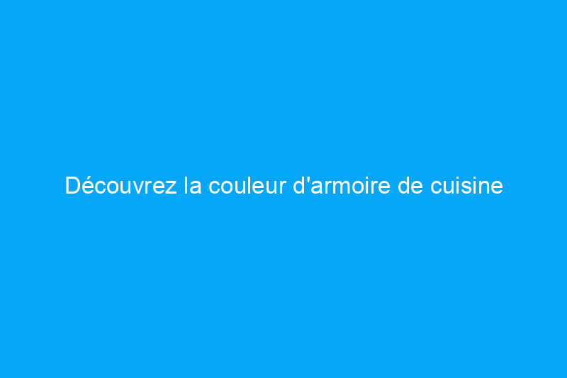 Découvrez la couleur d'armoire de cuisine la plus recherchée après le blanc