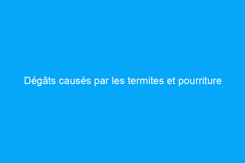 Dégâts causés par les termites et pourriture du bois : comment savoir ce qui ronge votre maison