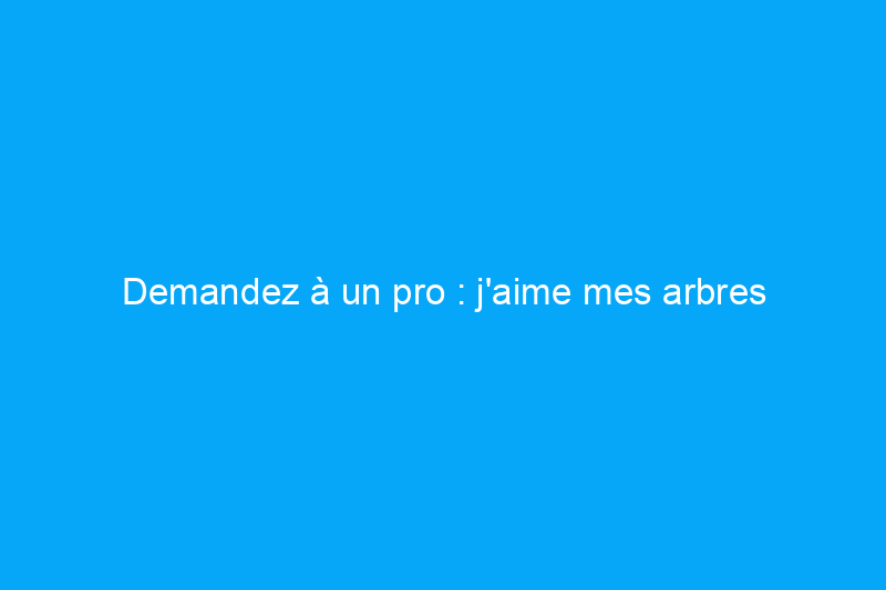 Demandez à un pro : j'aime mes arbres d'ombrage, mais l'herbe ne pousse pas en dessous. Que puis-je planter (ou faire) ?