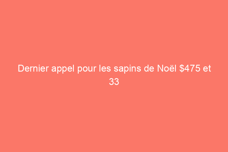 Dernier appel pour les sapins de Noël $475 et 33 autres offres du Cyber Monday sur les décorations de Noël