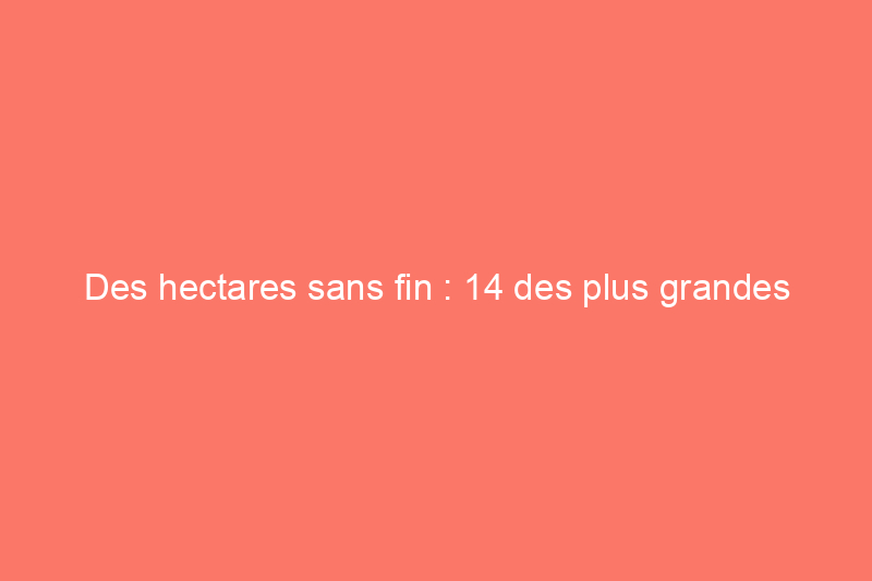 Des hectares sans fin : 14 des plus grandes propriétés d'Amérique