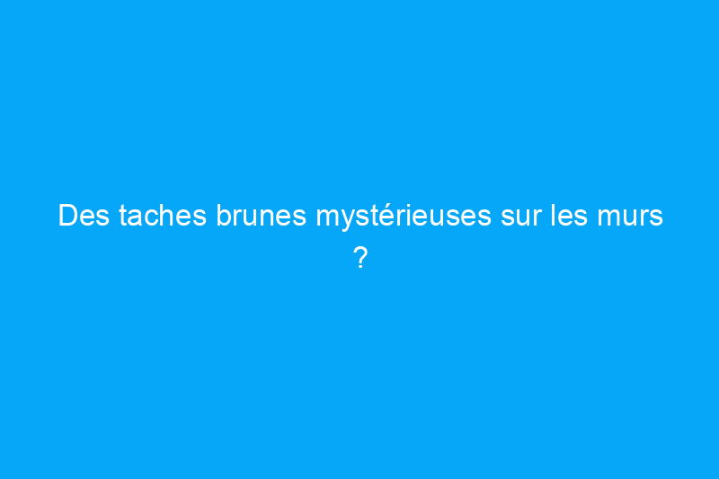 Des taches brunes mystérieuses sur les murs ? L'un de ces 5 nuisibles pourrait en être la cause