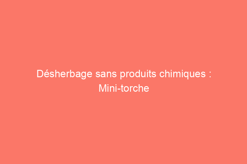 Désherbage sans produits chimiques : Mini-torche de désherbage Red Dragon testée et évaluée