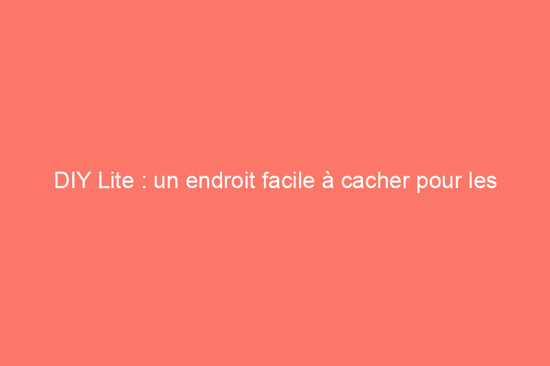 DIY Lite : un endroit facile à cacher pour les produits de nettoyage de la salle de bain