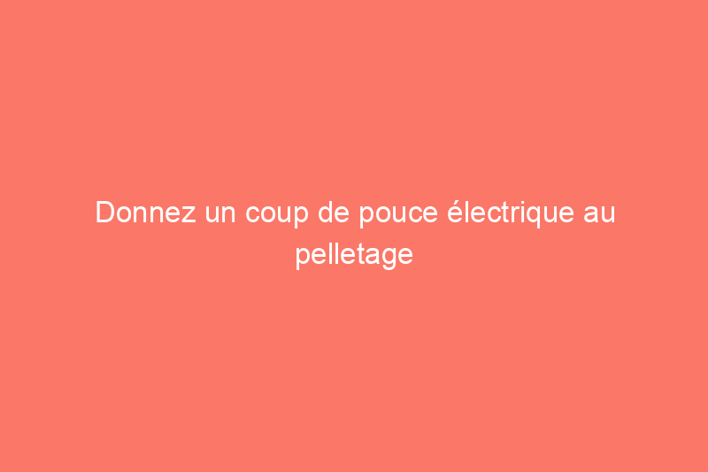 Donnez un coup de pouce électrique au pelletage avec la pelle à neige électrique Greenworks 80 V