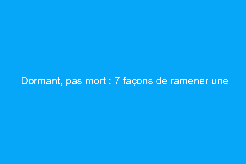 Dormant, pas mort : 7 façons de ramener une pelouse fatiguée et lasse au bord du gouffre 