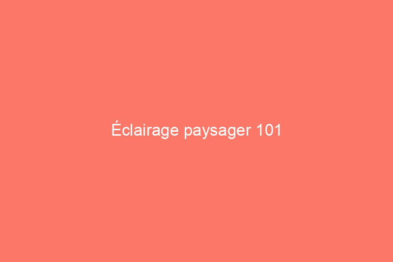 Éclairage paysager 101