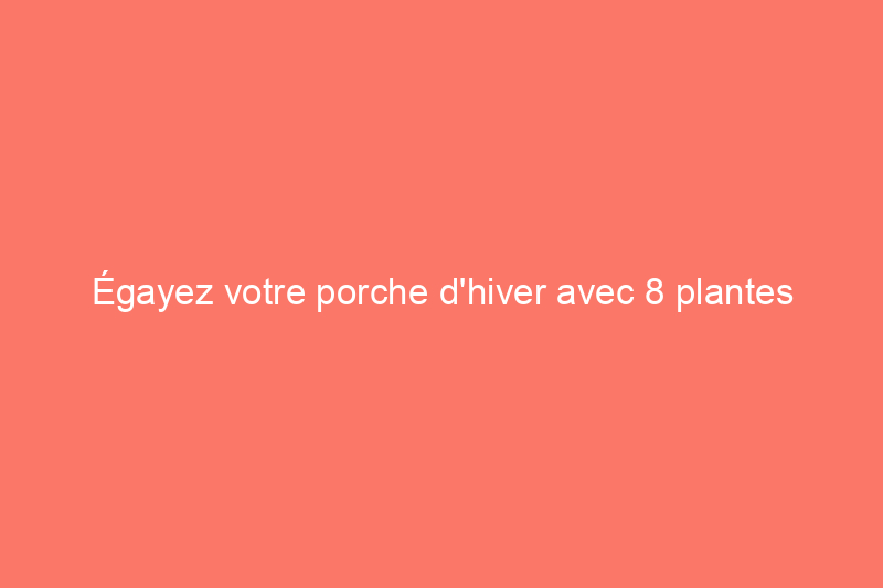 Égayez votre porche d'hiver avec 8 plantes qui aiment le froid