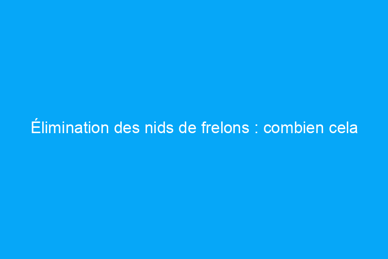 Élimination des nids de frelons : combien cela coûte-t-il ?