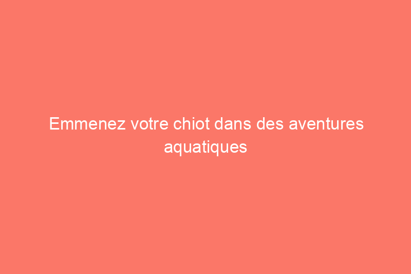 Emmenez votre chiot dans des aventures aquatiques avec les meilleurs kayaks pour chiens