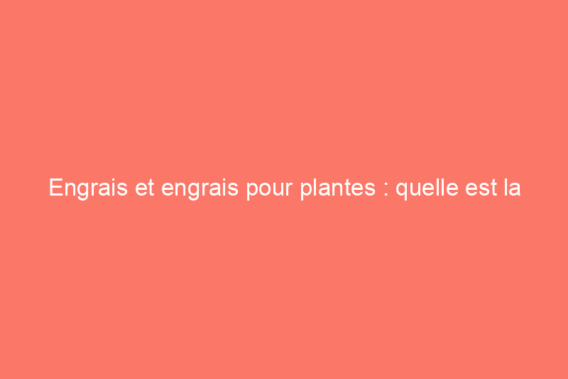 Engrais et engrais pour plantes : quelle est la différence ?