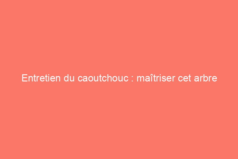 Entretien du caoutchouc : maîtriser cet arbre d'intérieur tendance