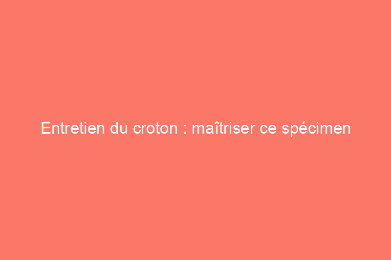 Entretien du croton : maîtriser ce spécimen exigeant en intérieur