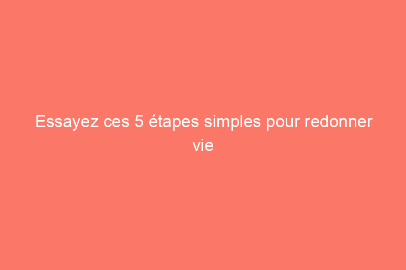 Essayez ces 5 étapes simples pour redonner vie à vos plantes de terrasse hivernées