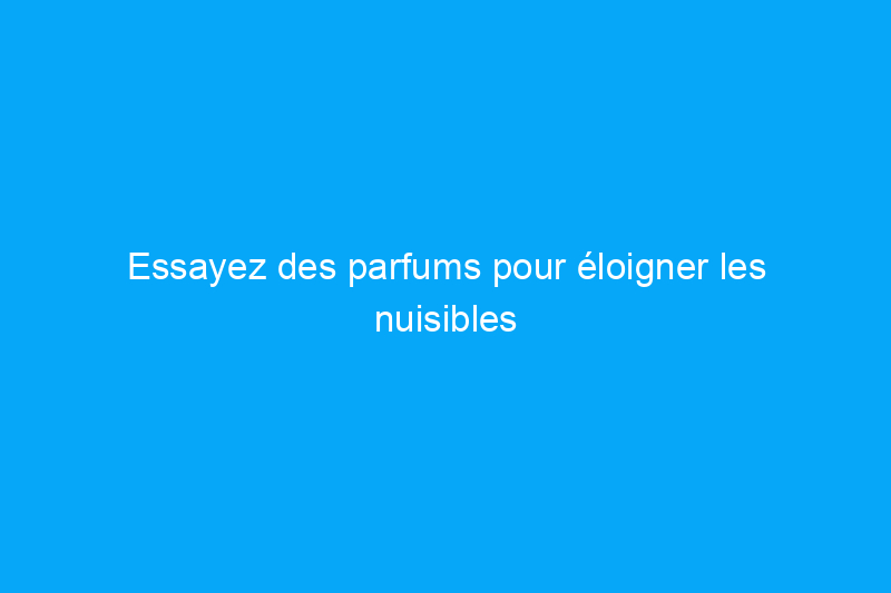 Essayez des parfums pour éloigner les nuisibles de votre jardin