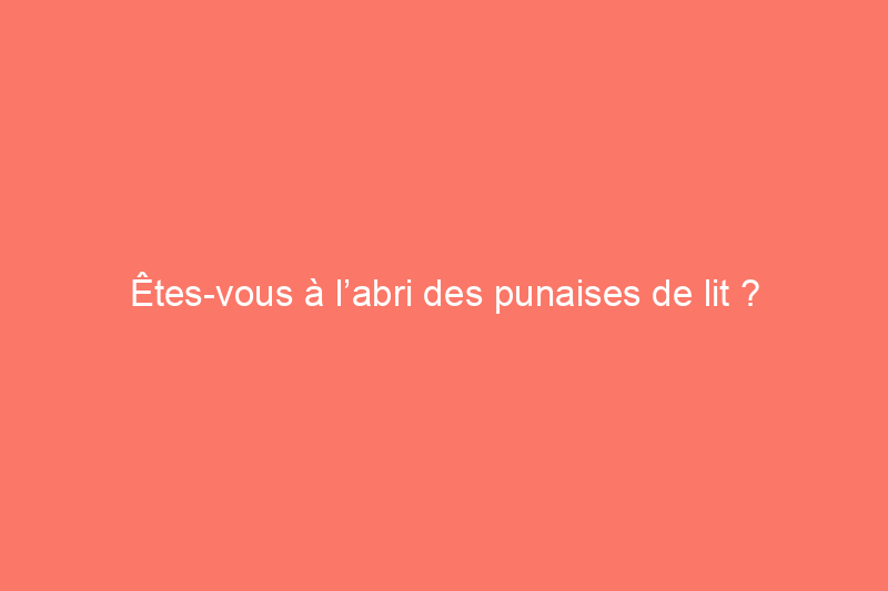 Êtes-vous à l’abri des punaises de lit ?