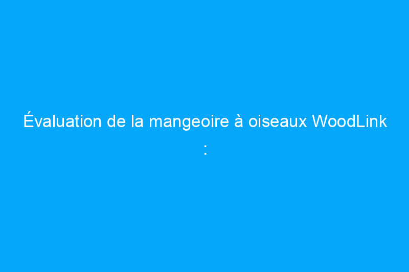 Évaluation de la mangeoire à oiseaux WoodLink : mangeoire résistante aux écureuils de Heritage Farms