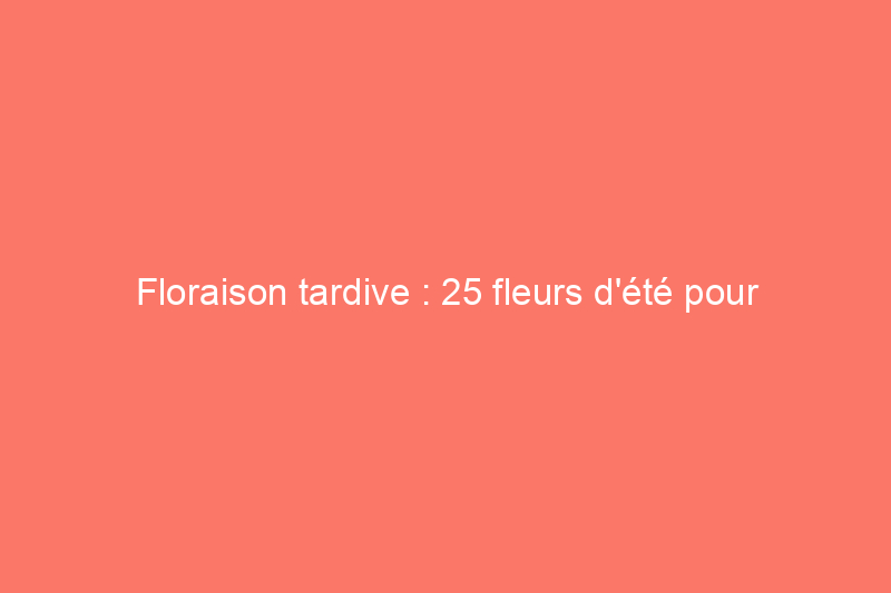 Floraison tardive : 25 fleurs d'été pour garder la couleur dans votre jardin