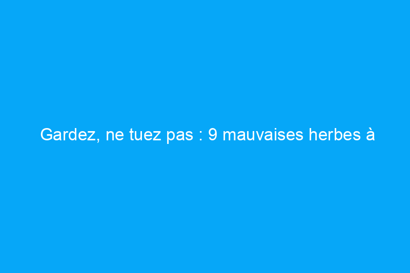 Gardez, ne tuez pas : 9 mauvaises herbes à accueillir