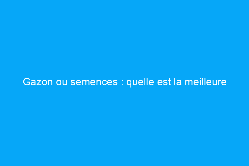 Gazon ou semences : quelle est la meilleure façon d’obtenir une pelouse luxuriante ?