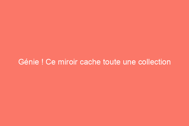 Génie ! Ce miroir cache toute une collection d'armes