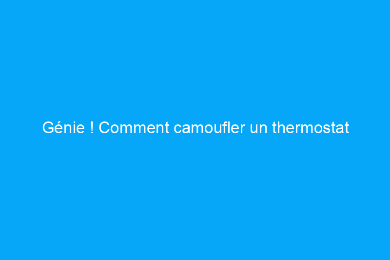 Génie ! Comment camoufler un thermostat disgracieux