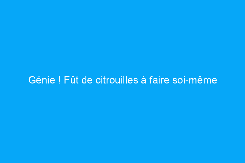 Génie ! Fût de citrouilles à faire soi-même