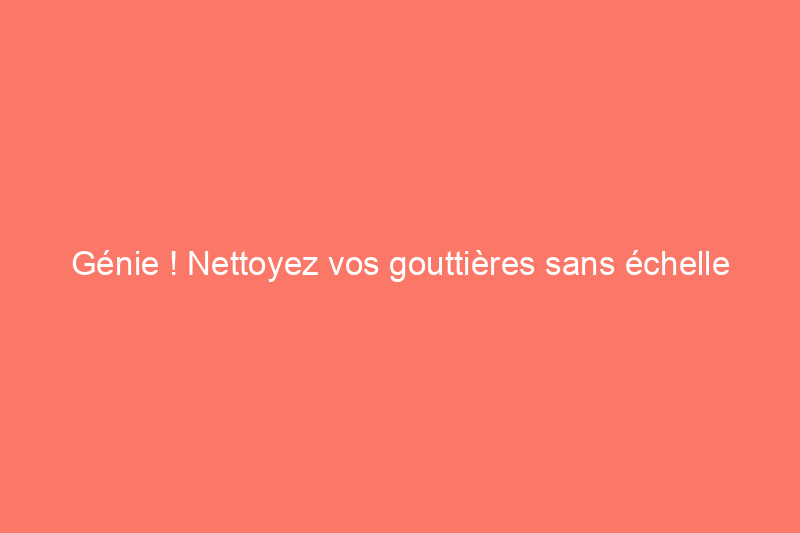 Génie ! Nettoyez vos gouttières sans échelle