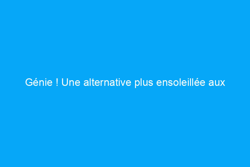 Génie ! Une alternative plus ensoleillée aux stores de fenêtre