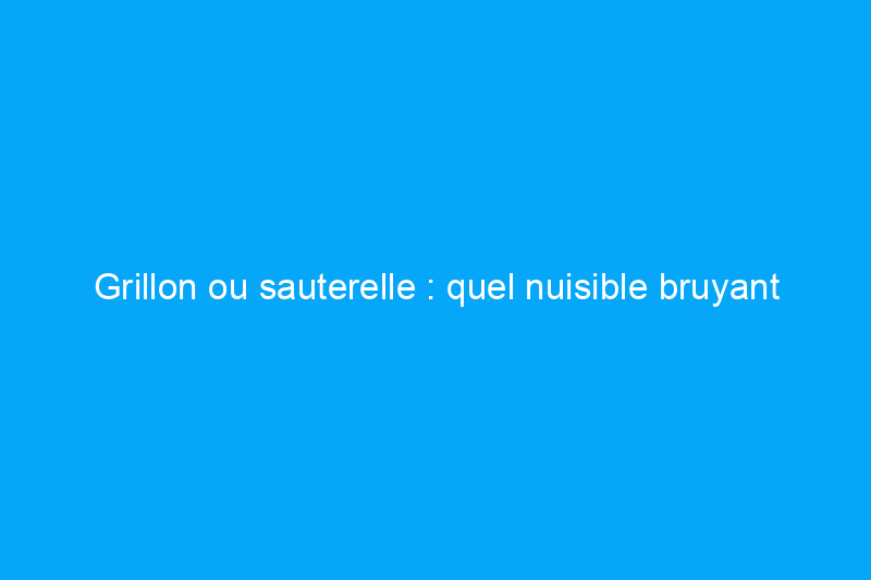 Grillon ou sauterelle : quel nuisible bruyant envahit votre maison ou votre jardin ?