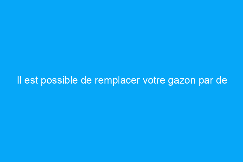 Il est possible de remplacer votre gazon par de la camomille, mais devriez-vous le faire ?