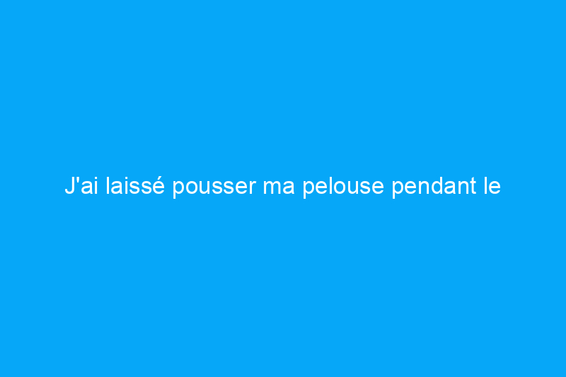 J'ai laissé pousser ma pelouse pendant le mois de mai sans tonte — voici ce qui s'est passé