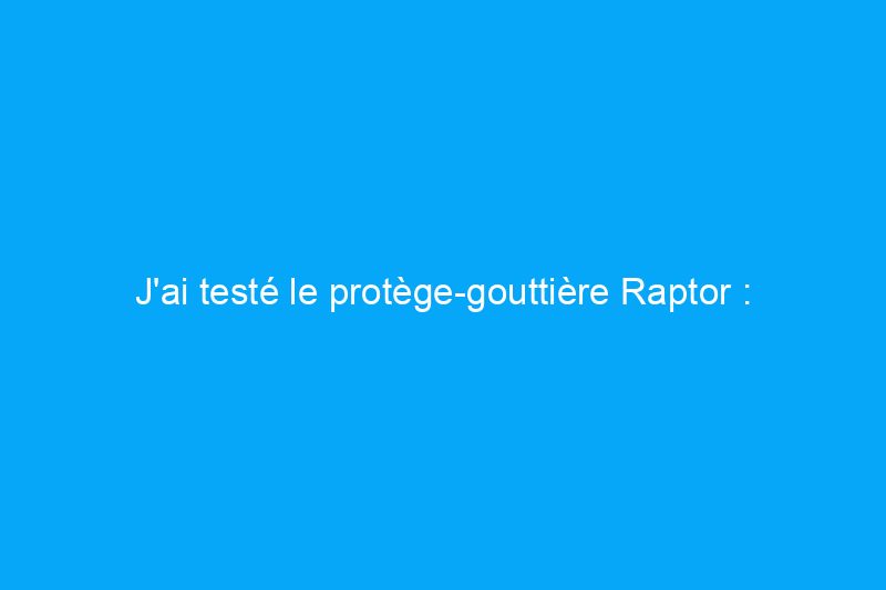 J'ai testé le protège-gouttière Raptor : vaut-il son prix ?