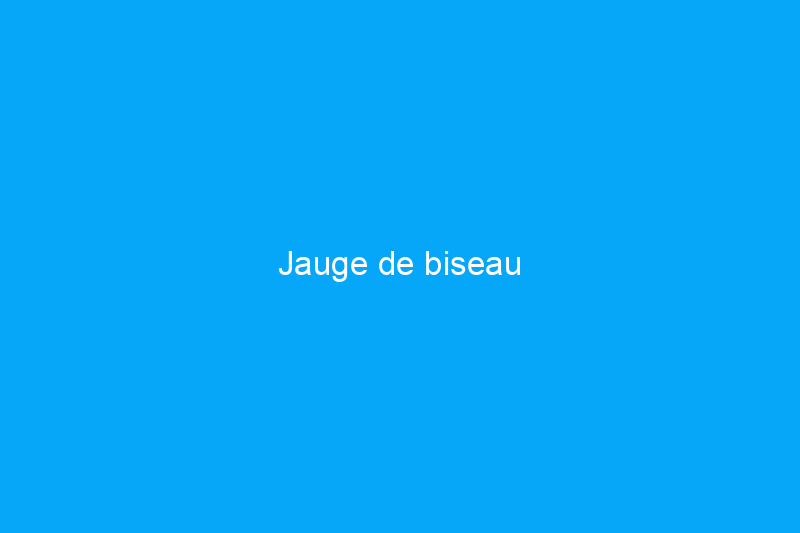 Jauge de biseau