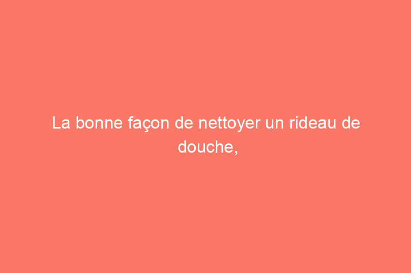 La bonne façon de nettoyer un rideau de douche, selon les professionnels de Molly Maid et DeluxeMaid