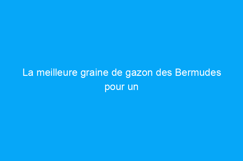 La meilleure graine de gazon des Bermudes pour un attrait extérieur exceptionnel