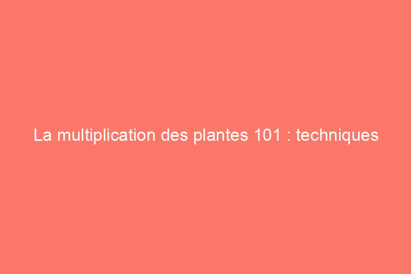 La multiplication des plantes 101 : techniques simples pour les débutants