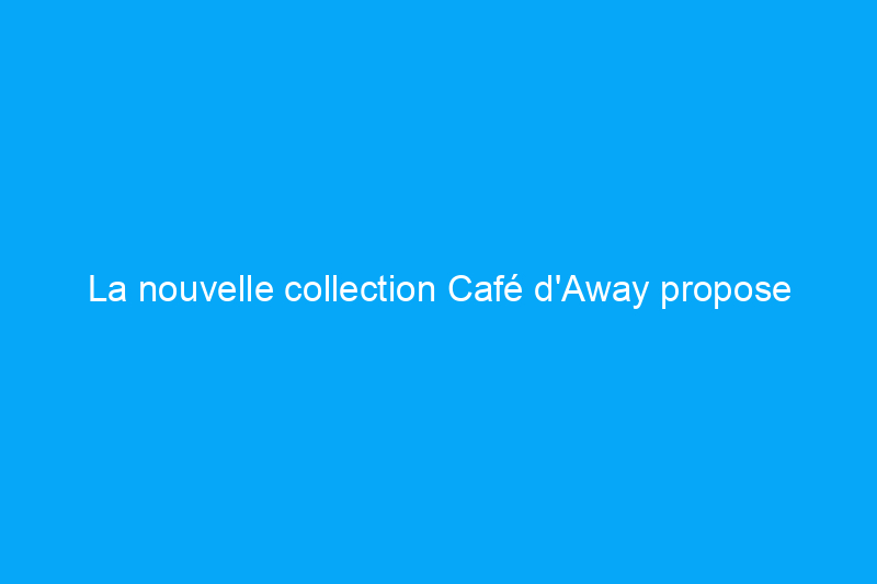 La nouvelle collection Café d'Away propose des accessoires en cuir et des couleurs d'automne