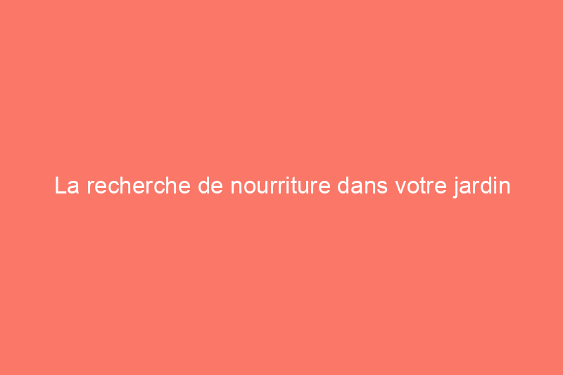 La recherche de nourriture dans votre jardin peut-elle vous tuer ? 