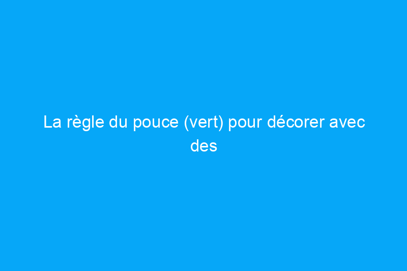 La règle du pouce (vert) pour décorer avec des plantes d'intérieur