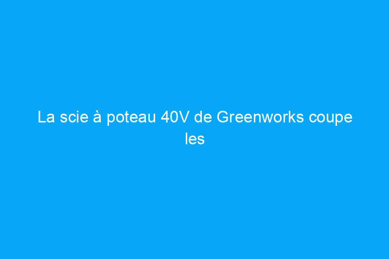 La scie à poteau 40V de Greenworks coupe les branches hautes sans avoir besoin d’une échelle