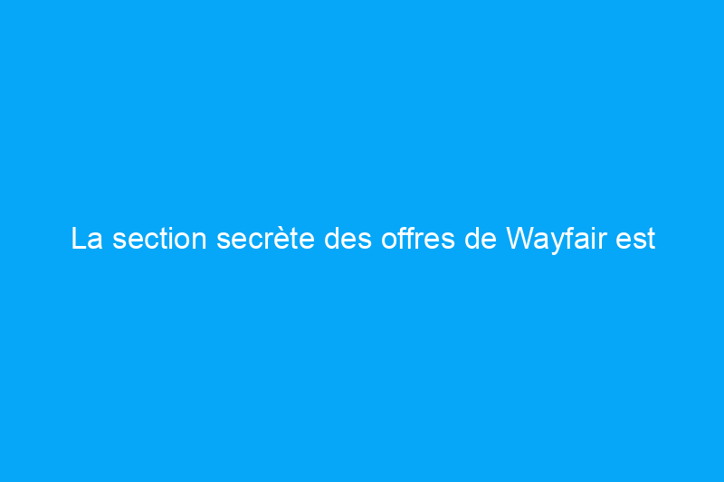 La section secrète des offres de Wayfair est encore meilleure que les soldes du Black Friday