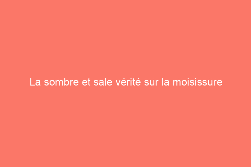 La sombre et sale vérité sur la moisissure domestique (et comment s'en débarrasser)