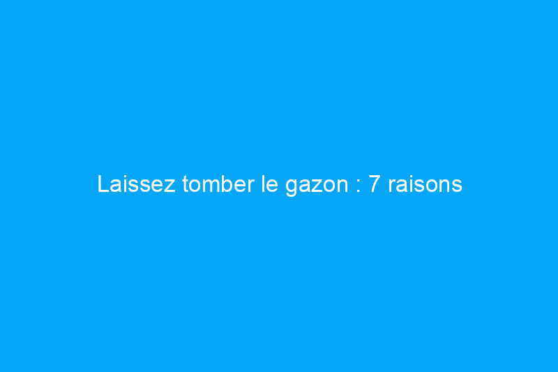 Laissez tomber le gazon : 7 raisons d'aménager votre aménagement paysager avec du gravier