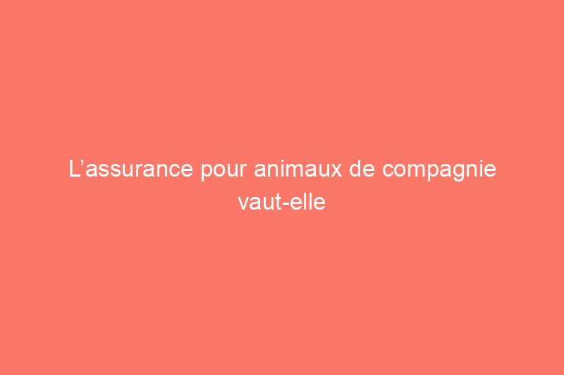 L’assurance pour animaux de compagnie vaut-elle vraiment la peine d’être souscrite ?