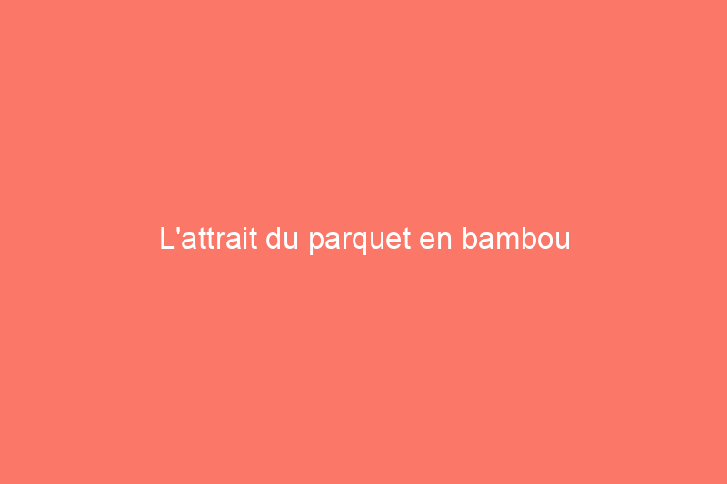 L'attrait du parquet en bambou