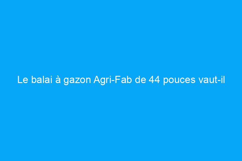 Le balai à gazon Agri-Fab de 44 pouces vaut-il son prix ? Je l'ai mis à l'épreuve et voici ce que j'ai appris