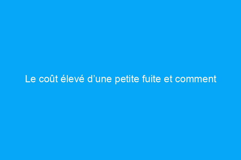 Le coût élevé d’une petite fuite et comment l’éviter