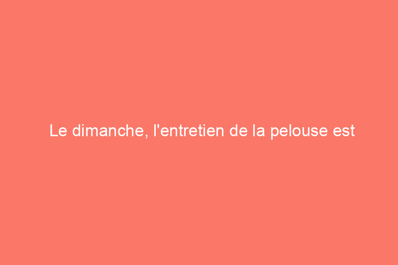 Le dimanche, l'entretien de la pelouse est facile : voici comment obtenir un abonnement pour 20% de réduction