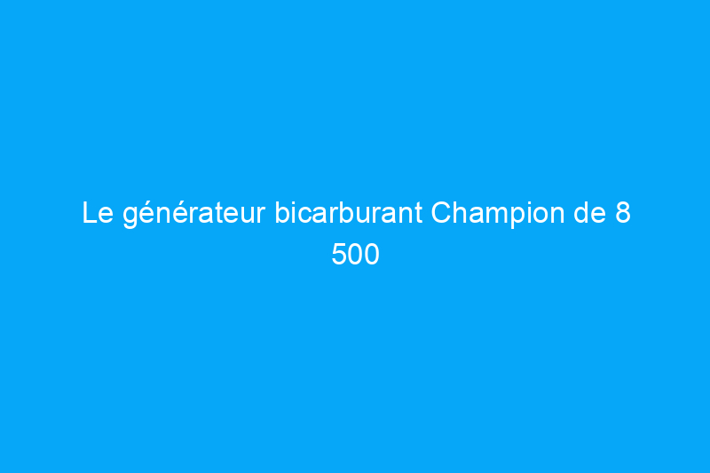 Le générateur bicarburant Champion de 8 500 watts est un appareil lourd, mais il a dominé nos tests